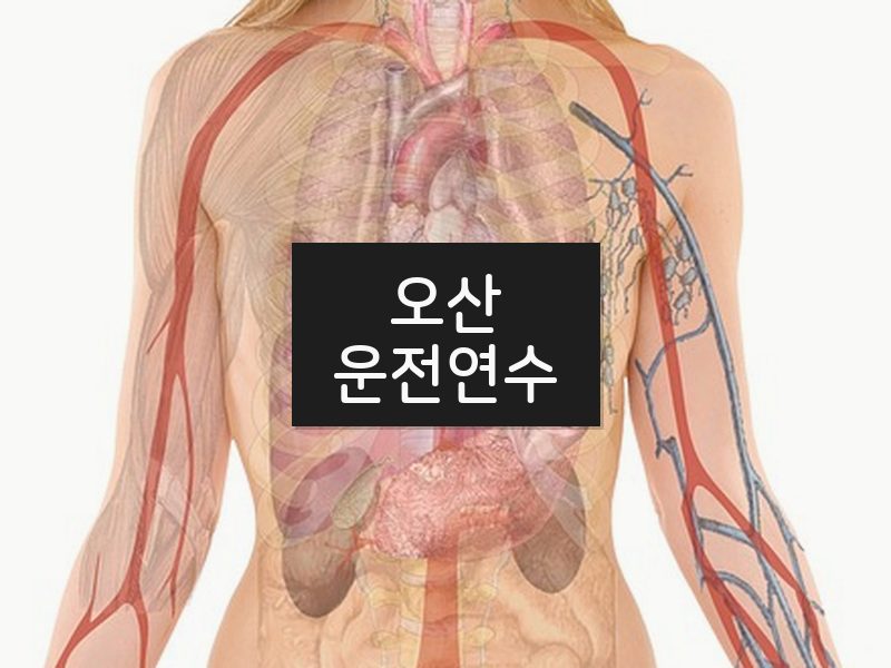 오산운전연수 후기