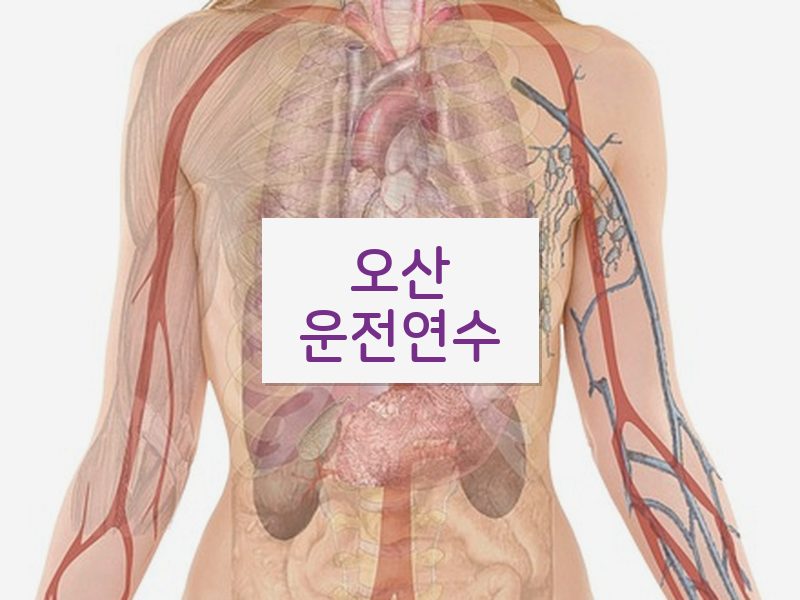 오산운전연수 후기