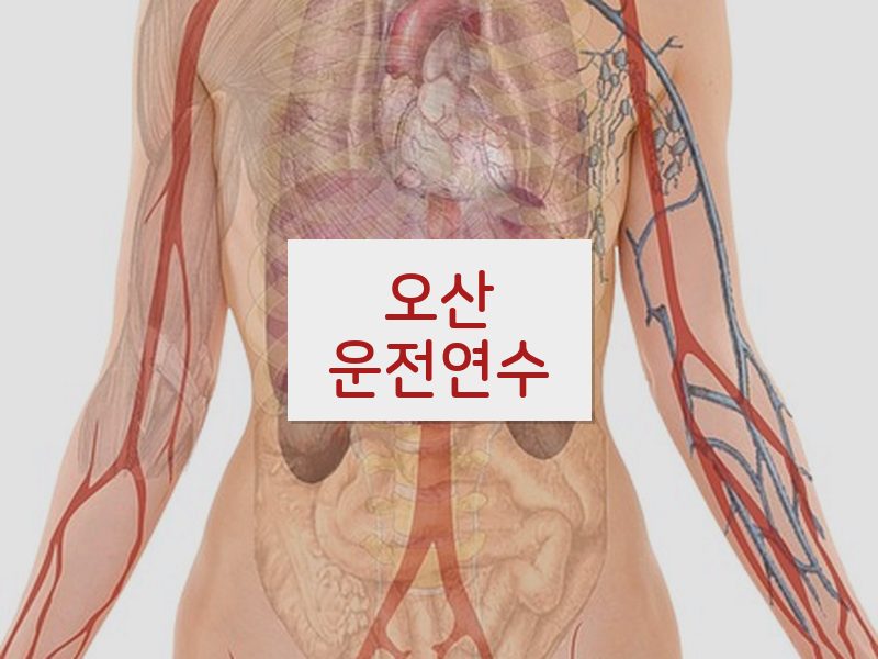 오산운전연수 후기