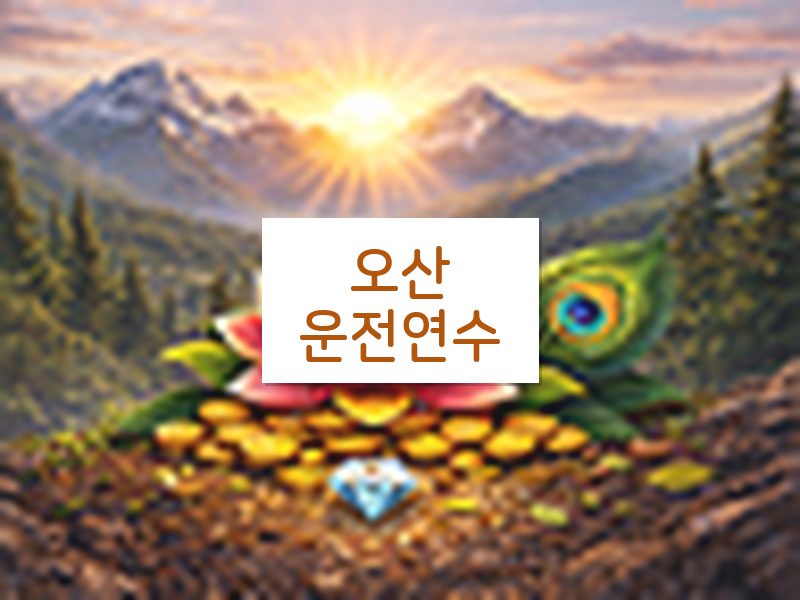 오산운전연수 후기