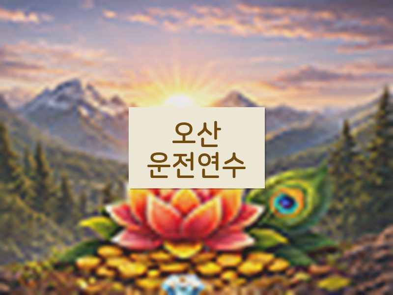 오산운전연수 후기