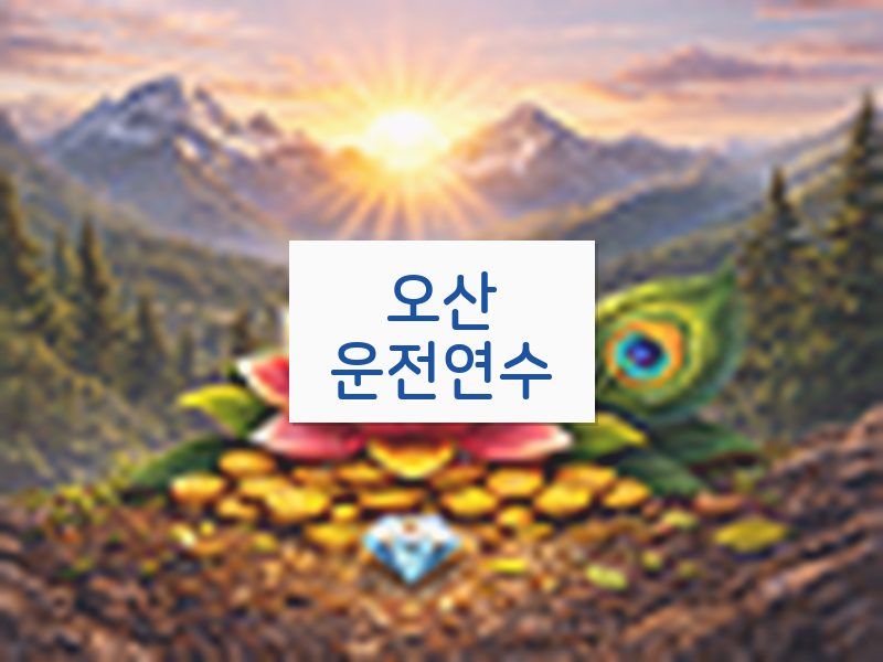 오산운전연수 후기