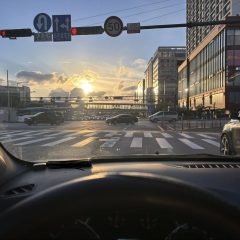 전문가 강사 추천