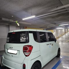 5일 완성 코스 만족