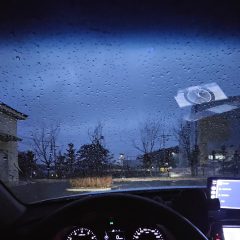 공포 극복한 운전 첫날!