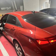 동승자와의 첫 운전!