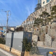 시장 쇼핑 편하게 해요