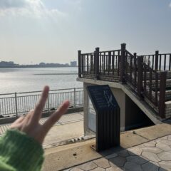 헤드라이트 사용법