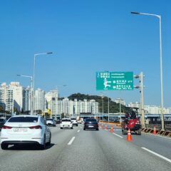 할머니 댁을 혼자 방문