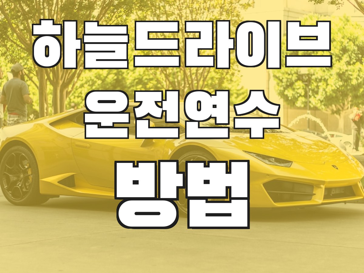 하늘드라이브 운전연수 방법 - 연수 진행 과정 안내