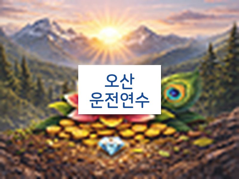 오산운전연수 후기